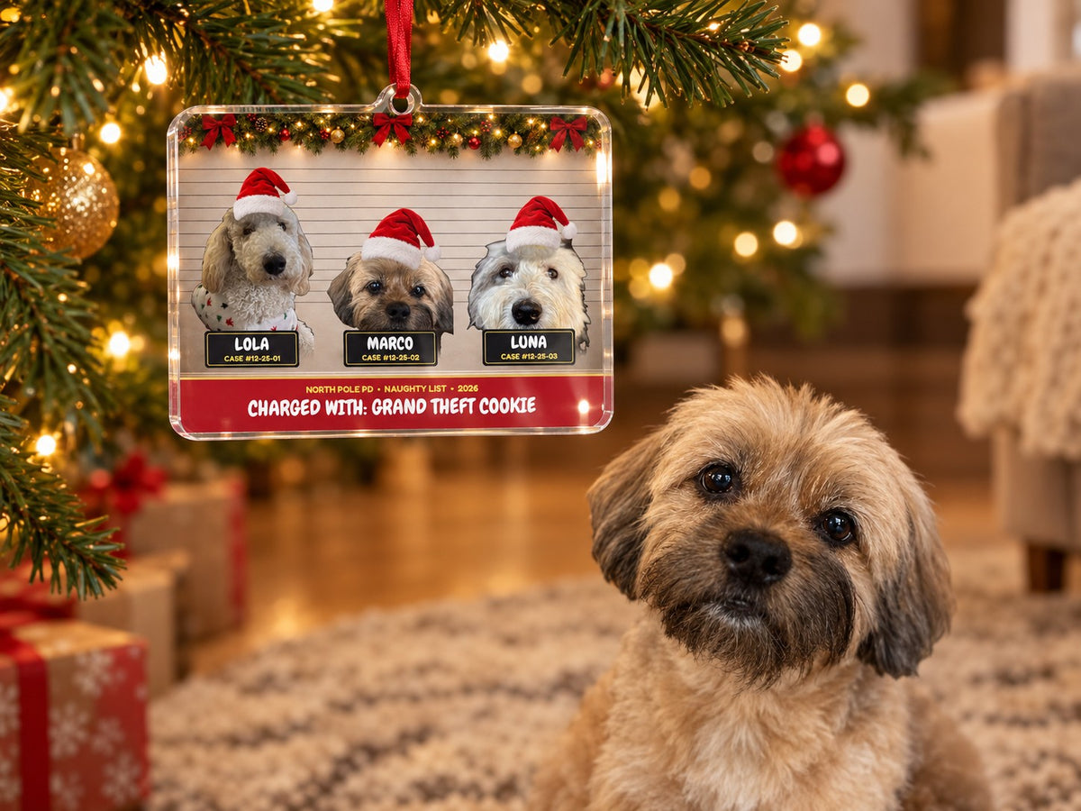 Dog sitting under a Christmas tree with his custom mugshot ornament