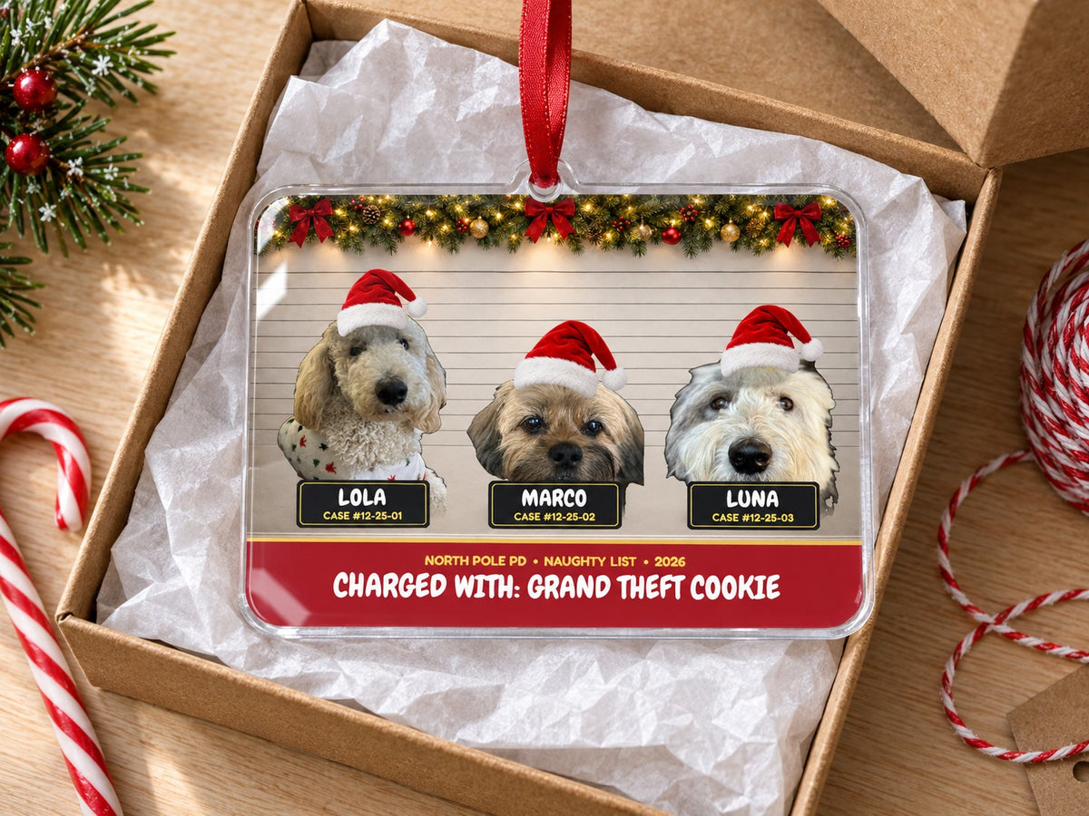 Naughty list pet mugshot ornament in a kraft gift box with candy canes